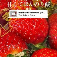 画像374