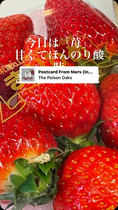 画像374