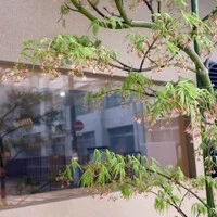 画像412